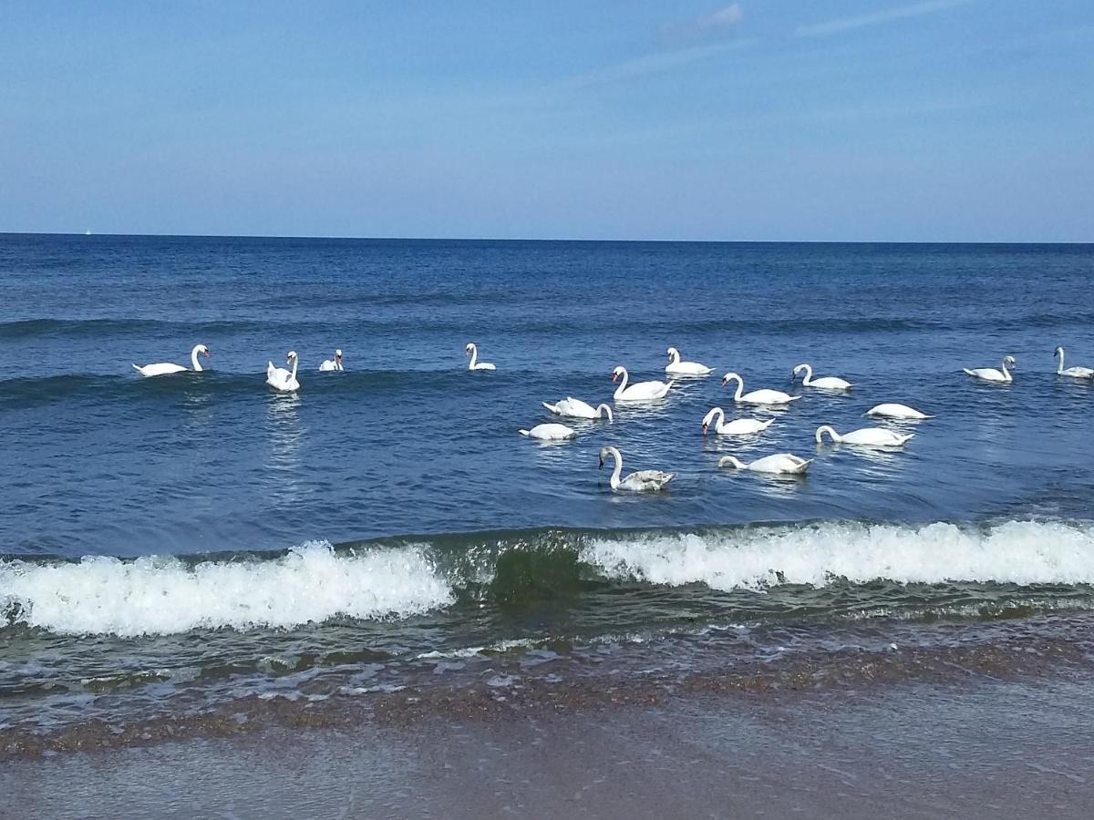 Sea & You Apartament Z Widokiem Na Morze - Dwie Sosny Ustronie Morskie Bagian luar foto